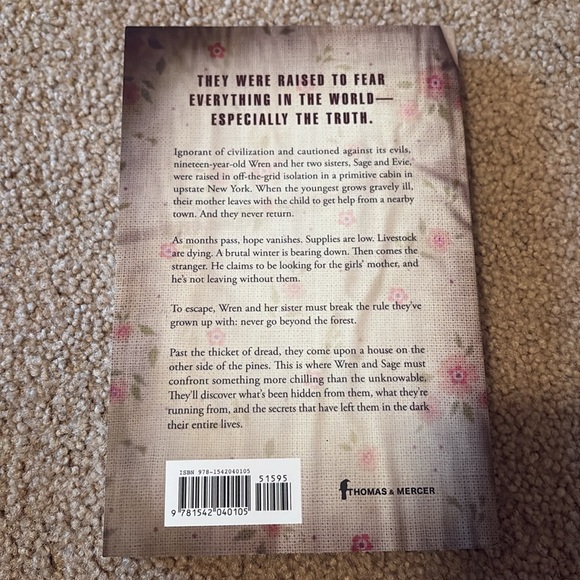 ‘The Stillwater Girls’ by Minka Kent Paperback - Picture 2 of 4